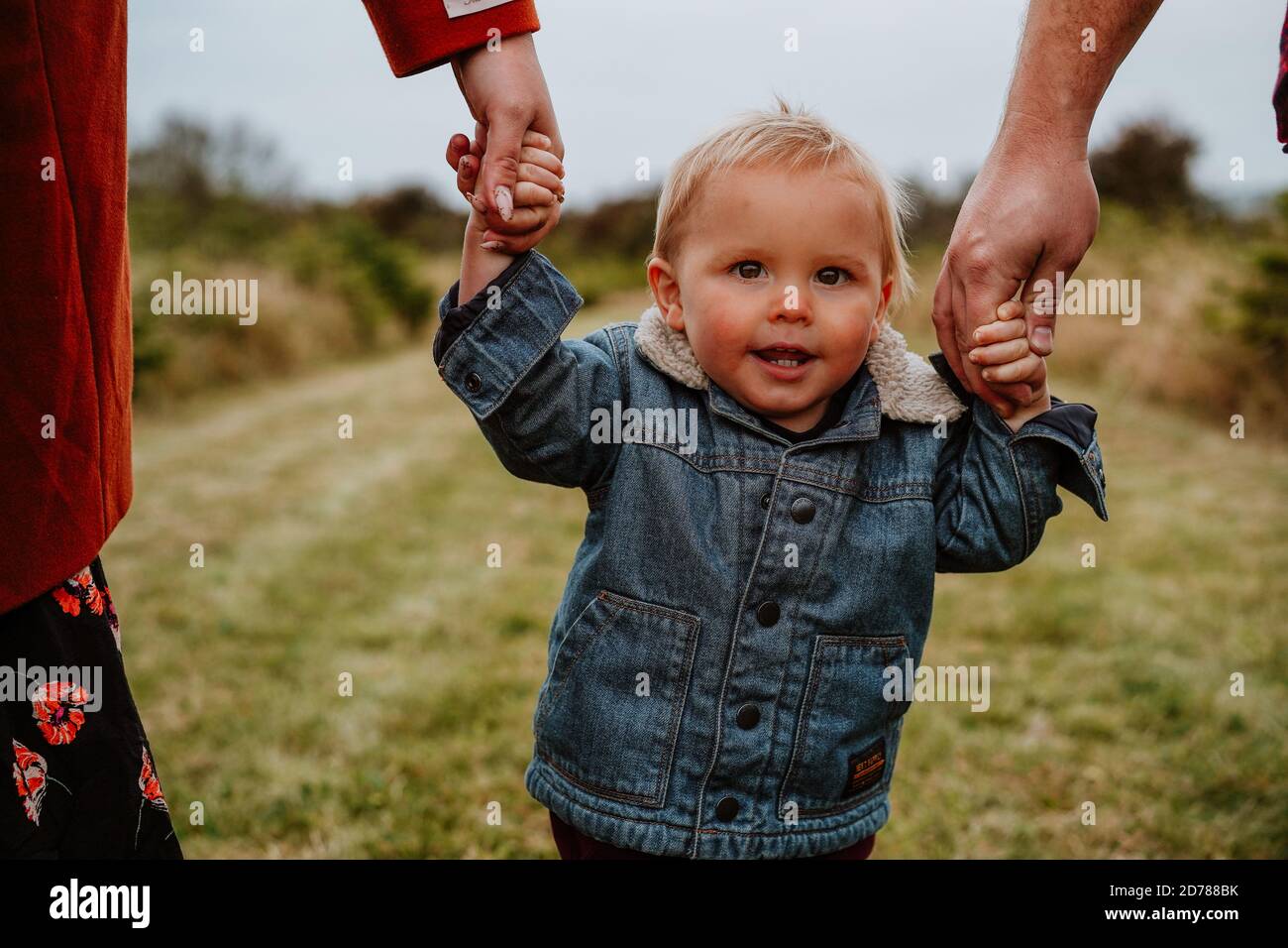 Familie in Christmas Tree Fields, Großbritannien Stockfoto