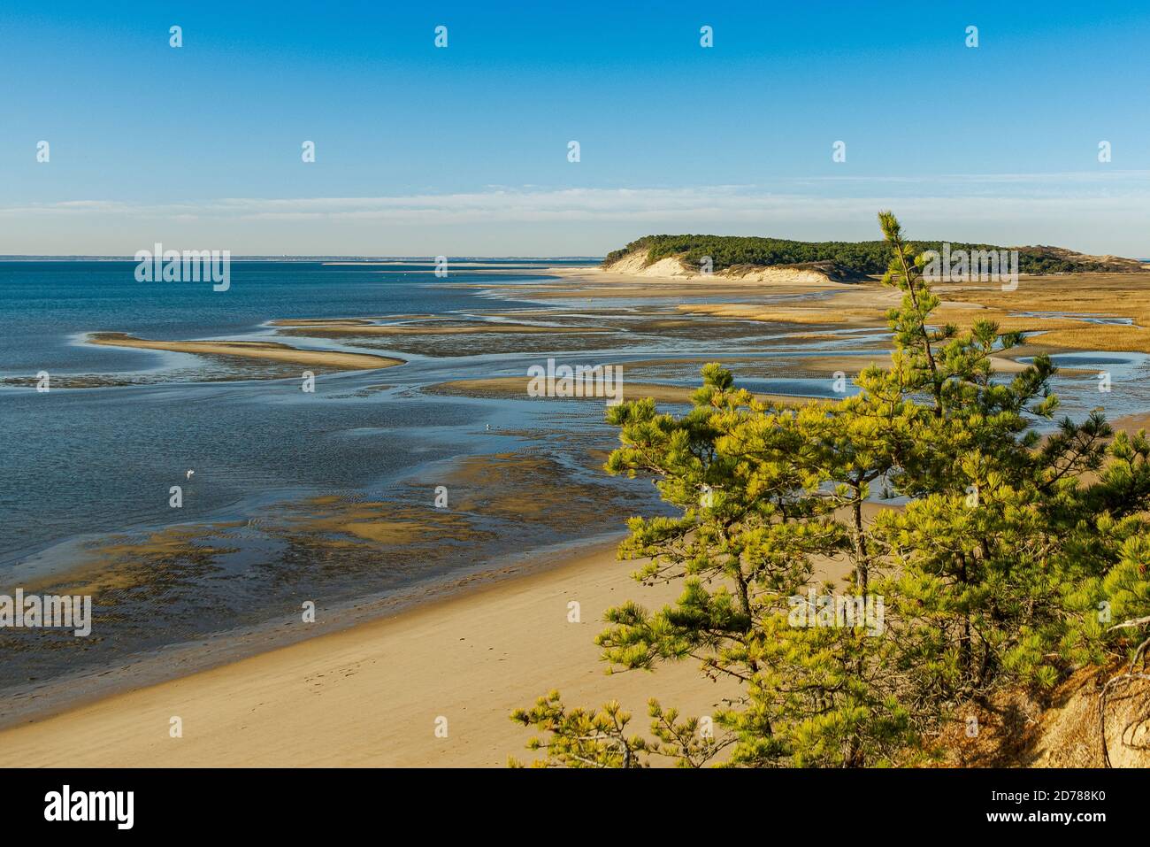 Bluffs of Cape Cod National Seashore Stockfoto