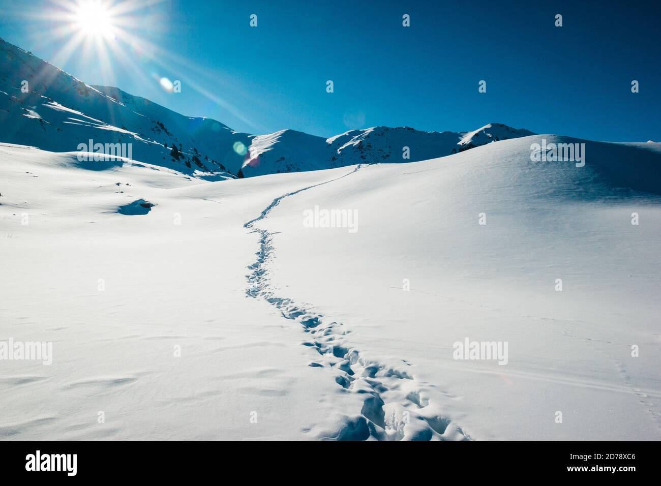 Panoramablick auf das schneebedeckte Feld nach einem Schneesturm. Menschlicher Weg in einem frischen Schnee. Fehlt auf Eis Wüste. Stockfoto