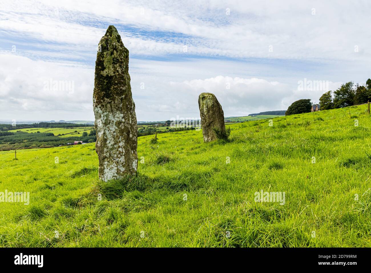 Stehende Steine auf einem Feld in der Nähe von Bweeng, County Cork, Irland Stockfoto