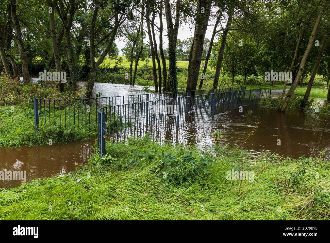 Blackwater flutet über eine Fußgängerbrücke im Park, Gelände am Schloss in Mallow, County Cork, Irland Stockfoto