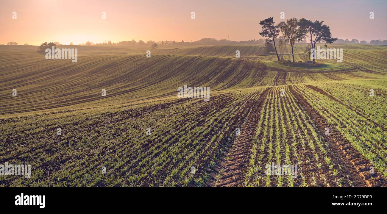 Schöne ländliche Landschaft bei buntem Sonnenaufgang. Stockfoto