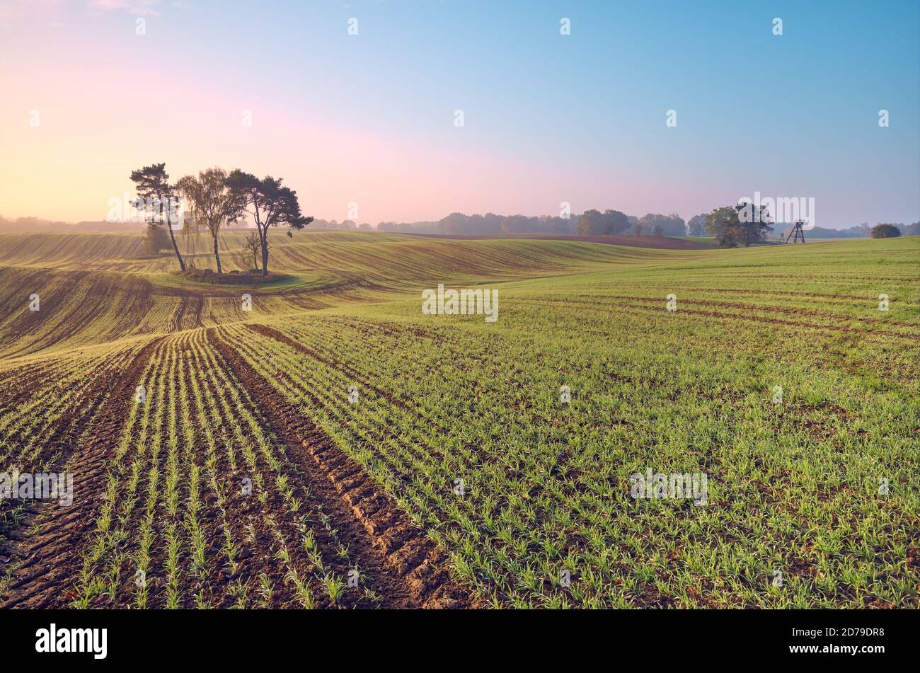 Schöne ländliche Landschaft bei buntem Sonnenaufgang. Stockfoto