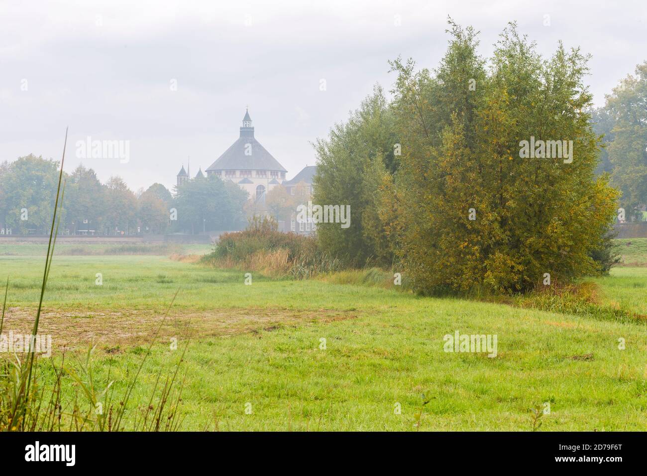 Die neo-byzantinische St. Catherine Kirche (Sint-Cathrien) in 's-Hertogenbosch. Blick vom Naturschutzgebiet Bossche Broek an einem nebligen Morgen Stockfoto