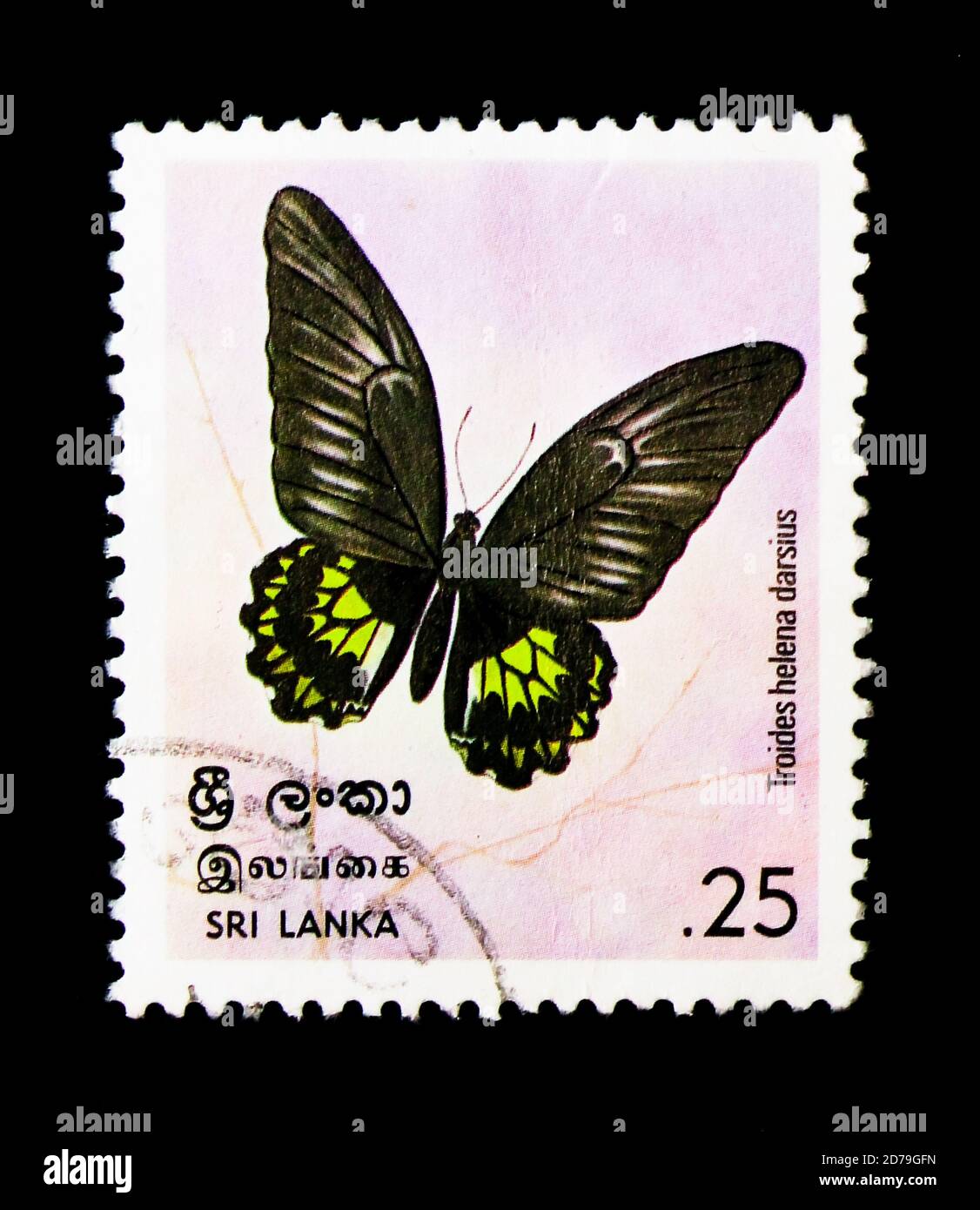 MOSKAU, RUSSLAND - 21. DEZEMBER 2017: Eine in Sri Lanka gedruckte Briefmarke zeigt Sri Lanka Birdwing (Troides helena Darsius), Butterflies Serie, um 1978 Stockfoto