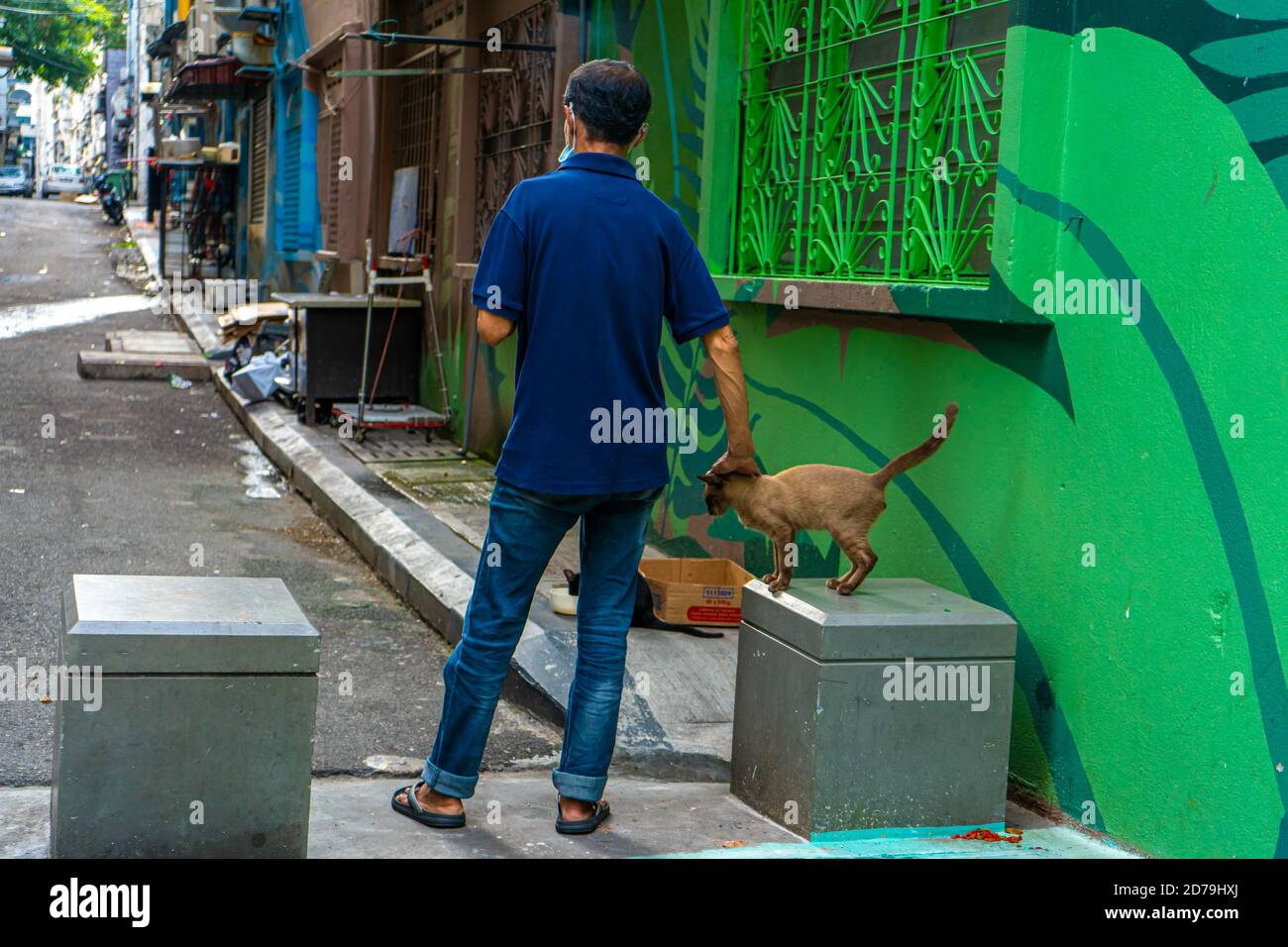 Ein Mann kommuniziert mit einer obdachlosen Katze auf der Straße. Obdachlose Tiere auf einer Stadtstraße. Stockfoto