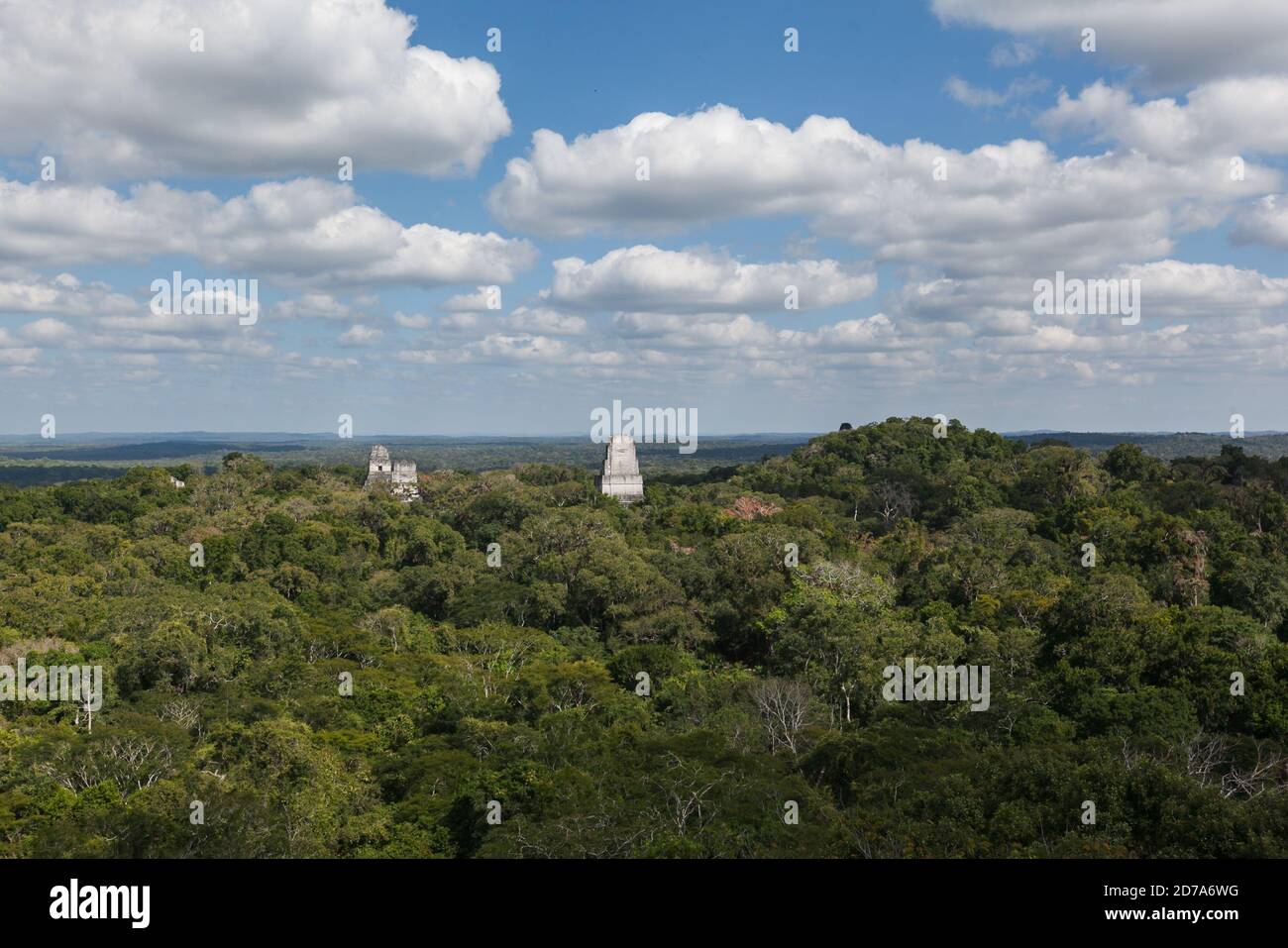 Maya Tempel Pyramiden über Regenwald von Tikal, Guatemala Stockfoto