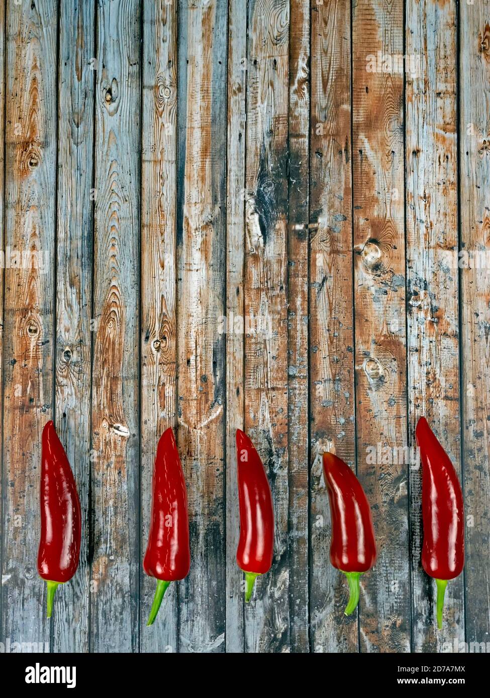 Design von dunklem Holz Hintergrund mit Chili-Paprika Stockfoto