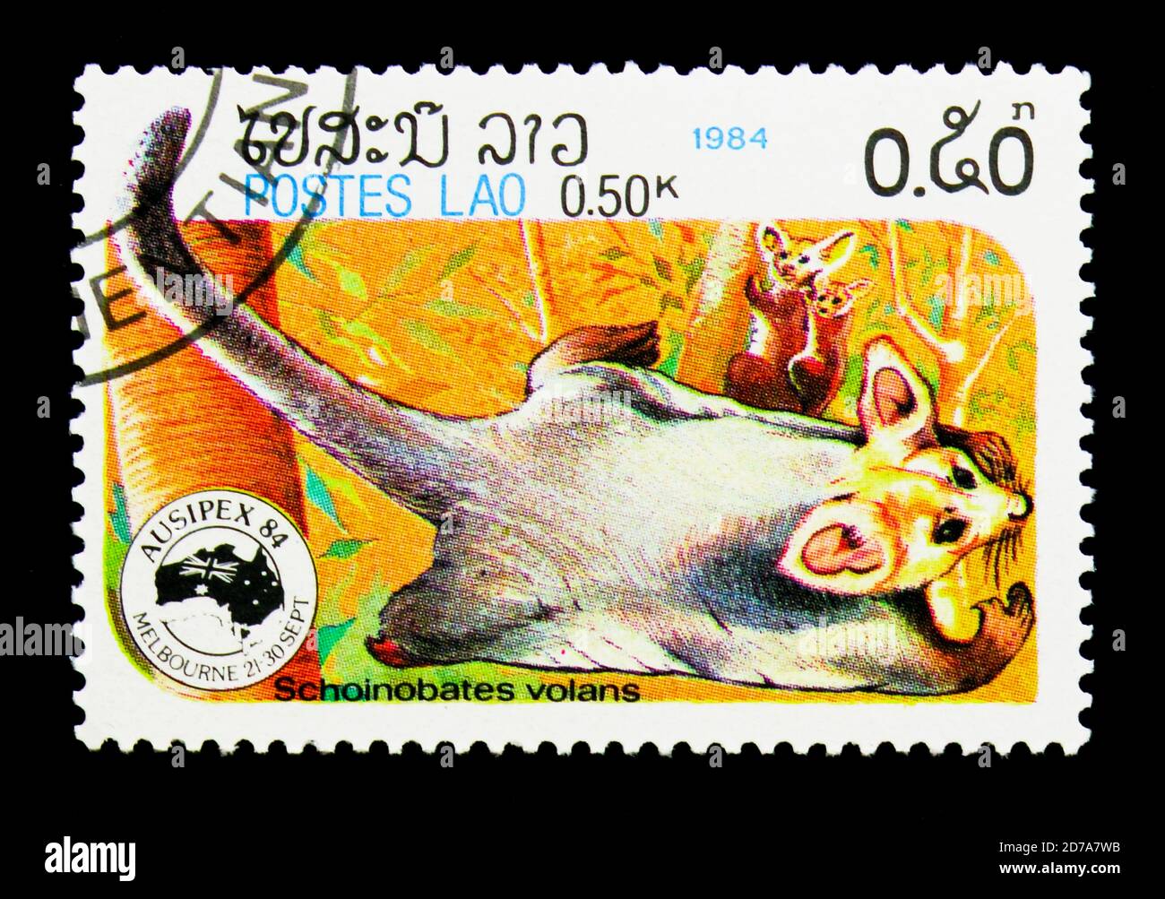 MOSKAU, RUSSLAND - 26. NOVEMBER 2017: Eine in der Demokratischen Volksrepublik Laos gedruckte Briefmarke zeigt Greater Glider (Schoinobates volans), International Stam Stockfoto