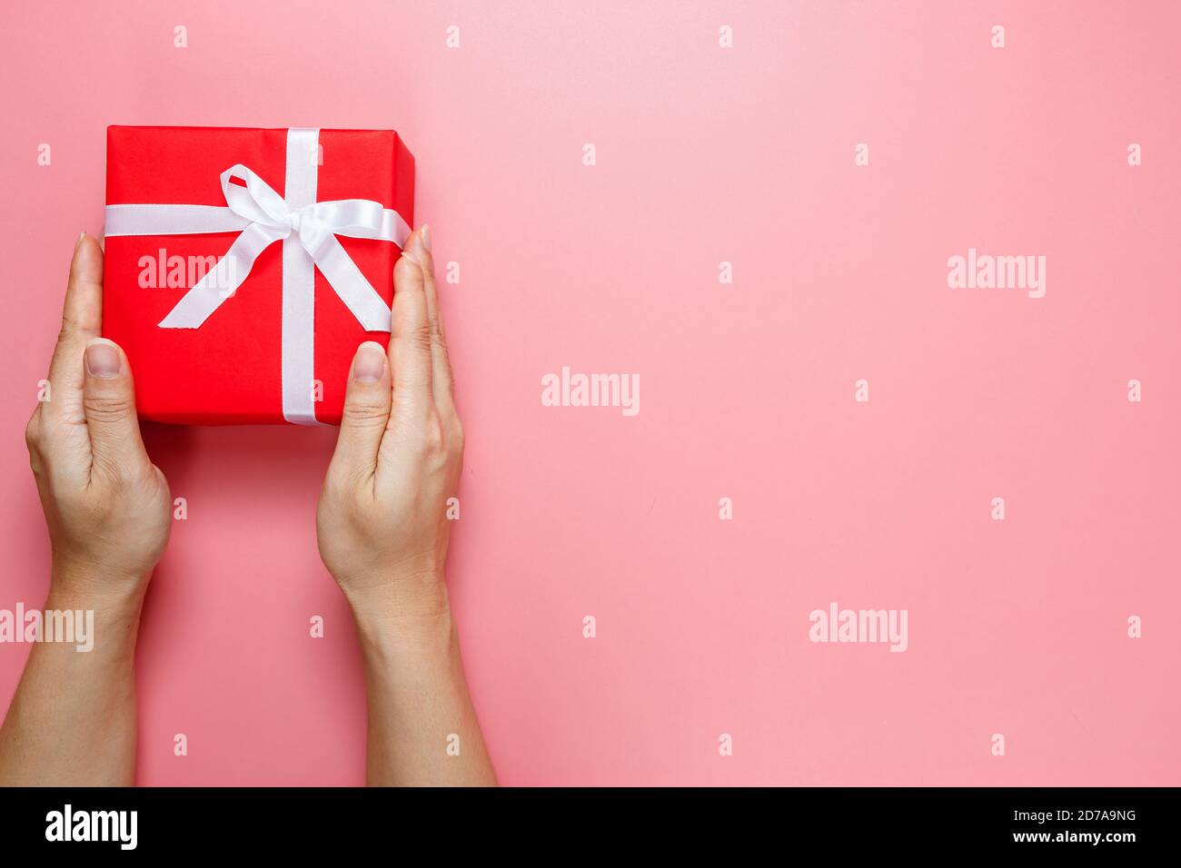 Flach Lay von Frau Hände halten Geschenk verpackt und mit Schleife isoliert auf rosa Hintergrund mit Kopie Raum dekoriert. Liebe zum Valentinstag. Geburtstagsmotiv. Stockfoto