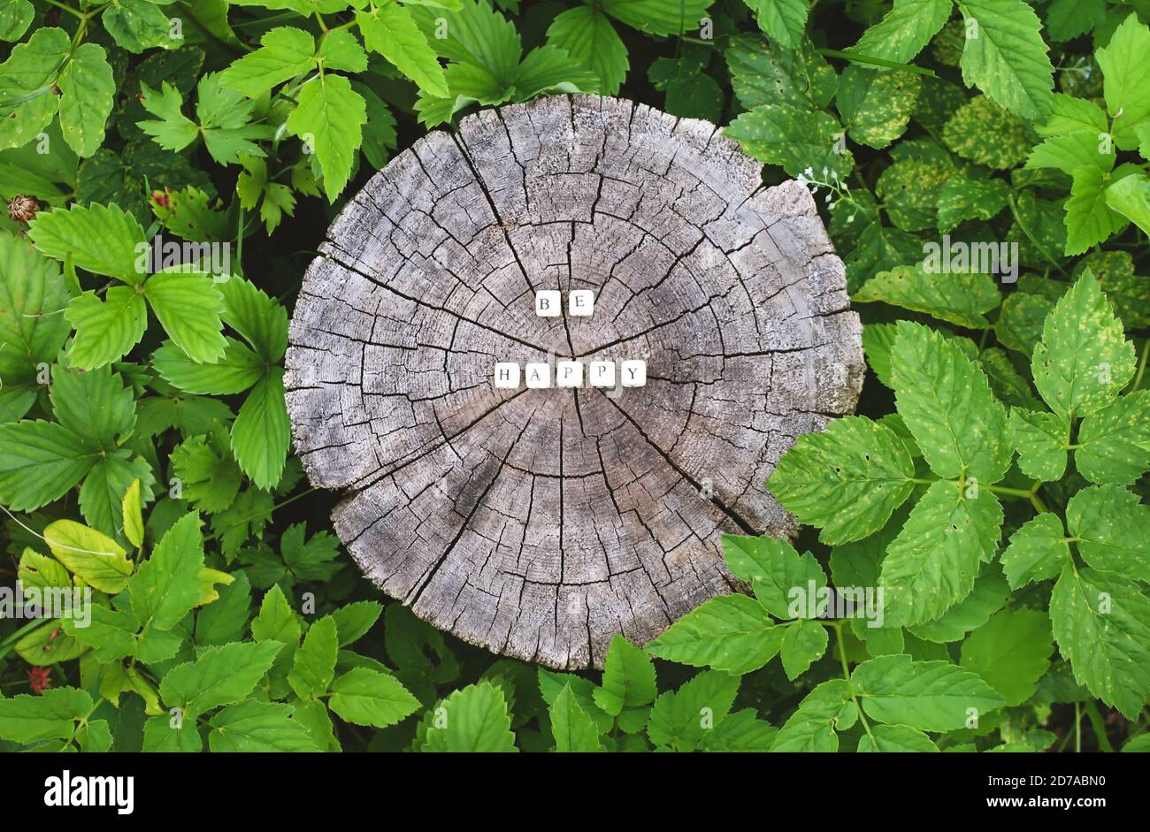 Wort glücklich sein von hölzernen Alphabet Perlen auf einem Baumstumpf Oberfläche im Wald. Stockfoto