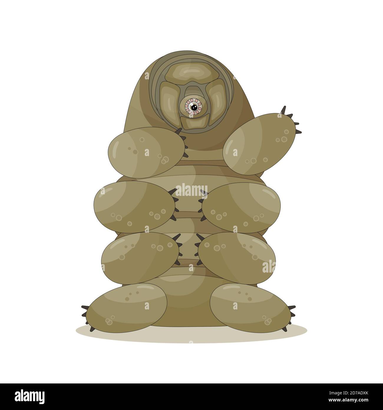 Braun isoliert glücklich schrulli niedlich Cartoon Vektor Tardigrade sitzt Auf weißem Hintergrund und Hand ist oben Stock Vektor