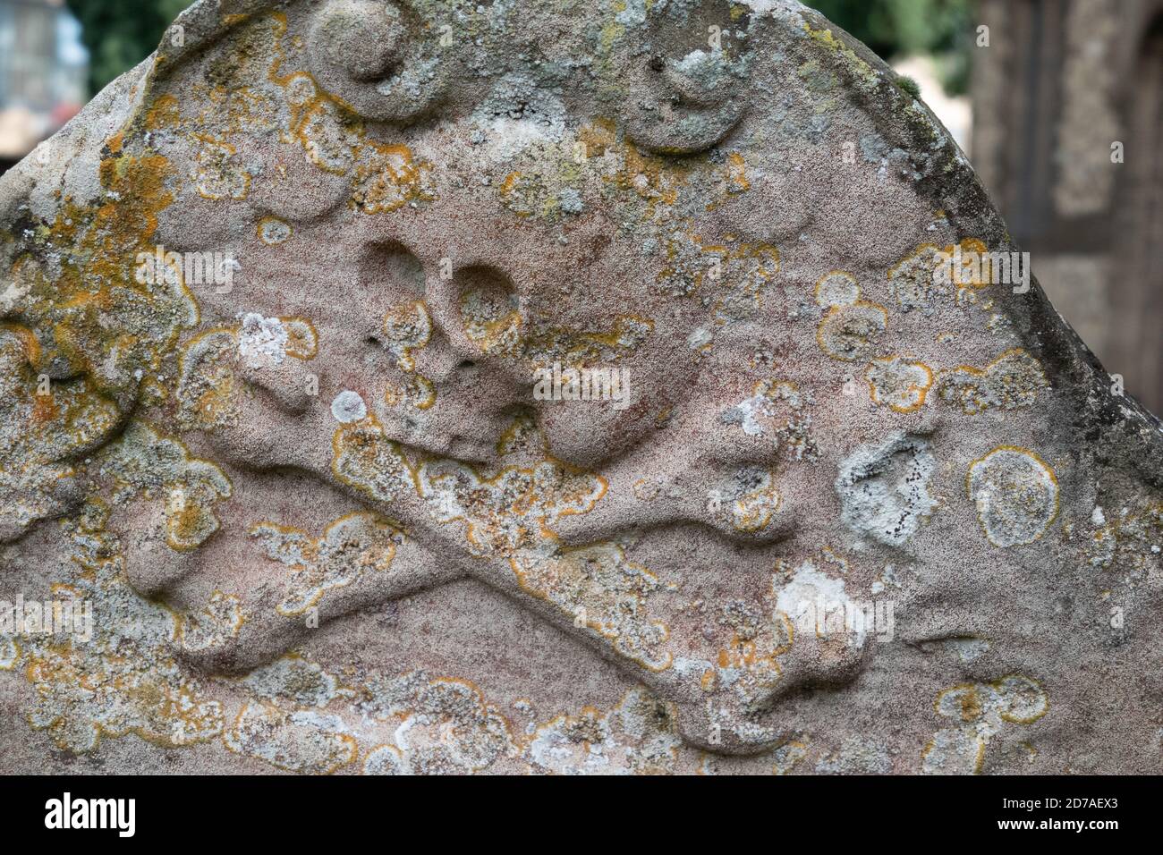 Alter Grabstein mit Totenkopf und Kreuzknochen ist ein Symbol eines menschlichen Schädels mit zwei langen Knochen, die darunter gekreuzt sind. Stockfoto