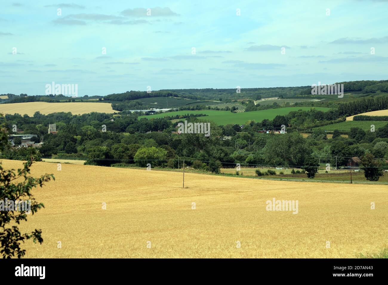 Blick über Felder in Richtung Chartham von oberhalb Cockering Lane, Chartham, Canterbury, Kent, England, Großbritannien Stockfoto