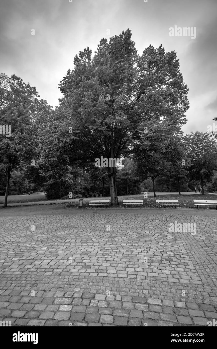 Graustufen-Vertikalaufnahme einer gepflasterten Straße im Burgerpark, Bremen, Deutschland Stockfoto
