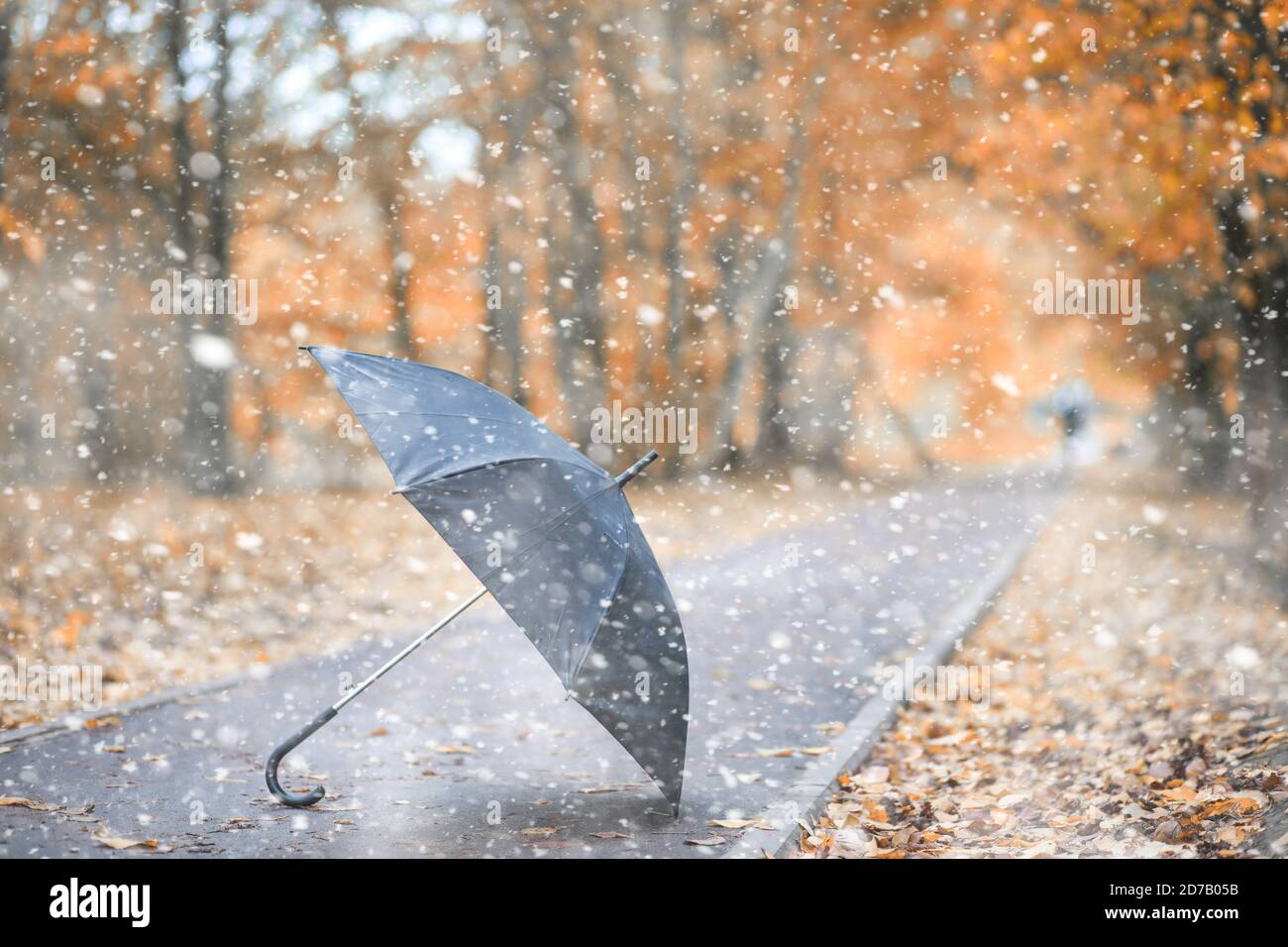 Herbst Park in den ersten Schnee Stockfoto