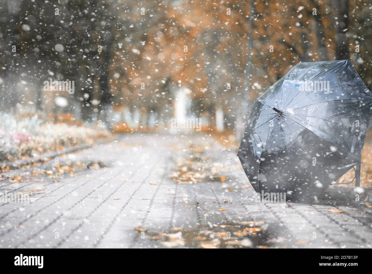 Herbst Park in den ersten Schnee Stockfoto