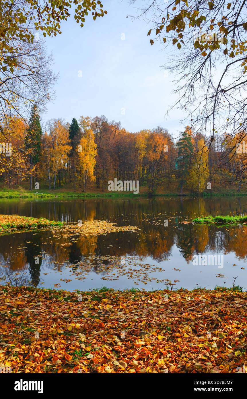 Herbstlandschaft mit See und Bäumen im Park im oktober Abend Stockfoto