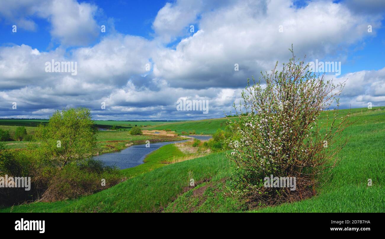 Sonnige Frühlingslandschaft mit Fluss und schönen Wolken in blauem Himmel. Stockfoto