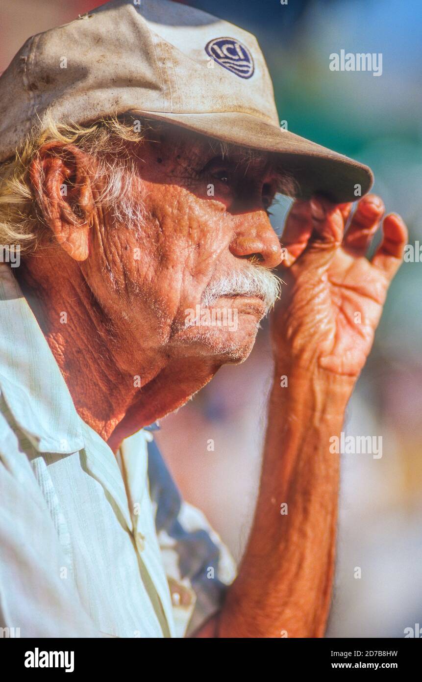 Älterer Rüde in Zihuatenejo Stockfoto