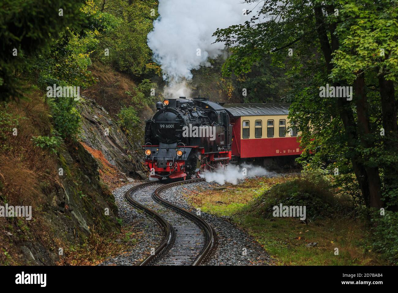 Historischer Zug im Harz. Schmalspurbahn in den Bergen bei Regenwetter im Herbst. Dampflokomotive mit Waggonantrieb auf einer Schiene Stockfoto