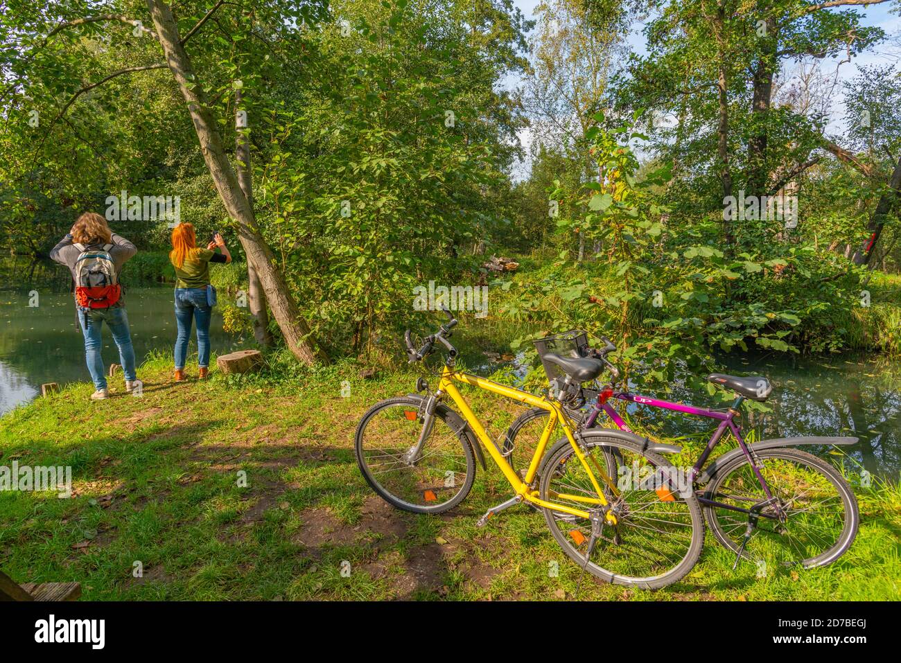 Wotschowska Wanderweg entlang Bütgerfließ von Lübbenau nach Wotschowska Insel, Spreewald, Oberspreewald oder Oberer Spreewald, Brandenburg, Ostdeutschland Stockfoto