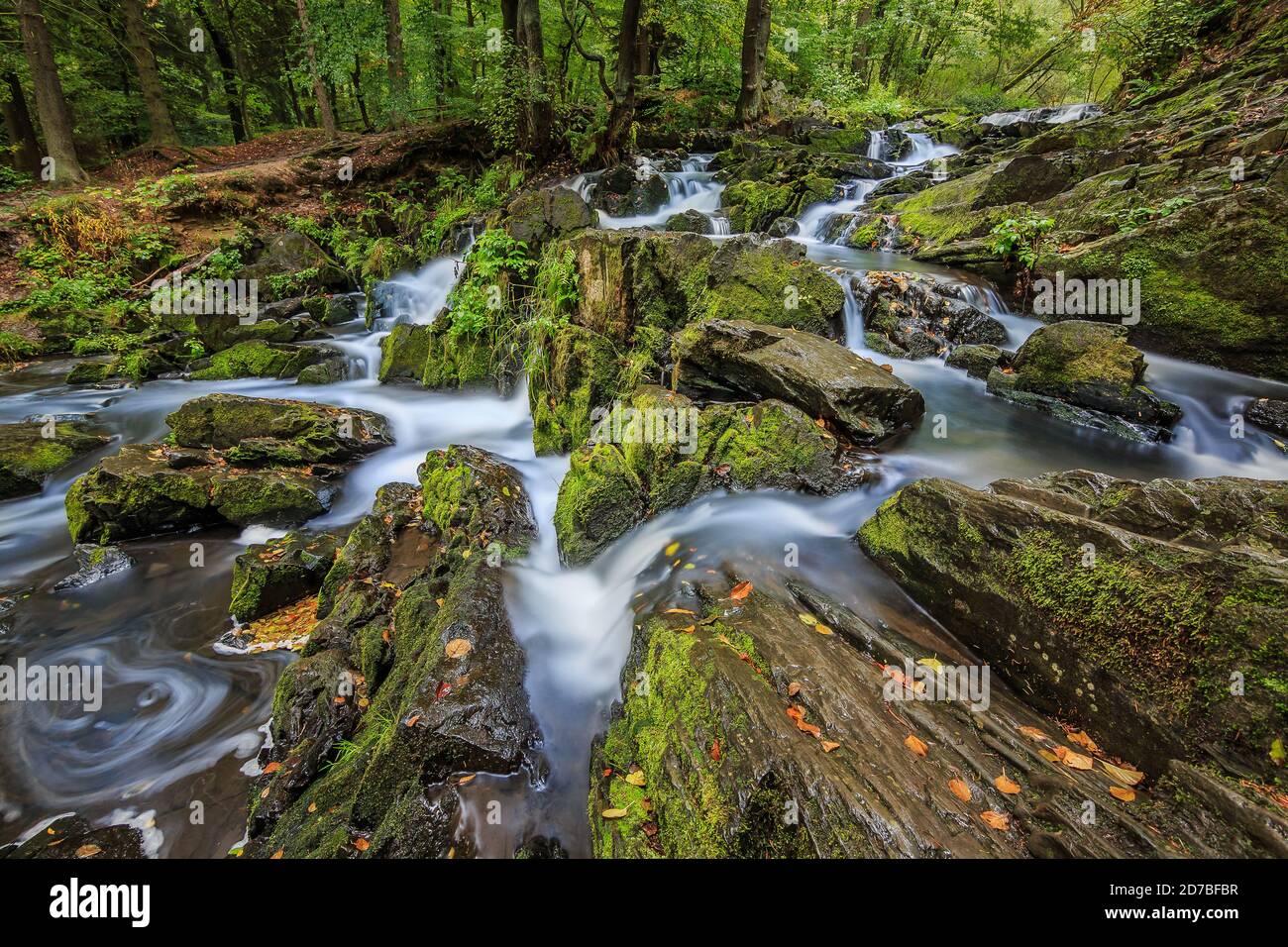 Selke Wasserfall im Harz. Fluss Selke im Südharz an einem regnerischen Herbsttag. Fluss zwischen Felsen mit grünem Moos überwuchert. Laufbäume auf t Stockfoto