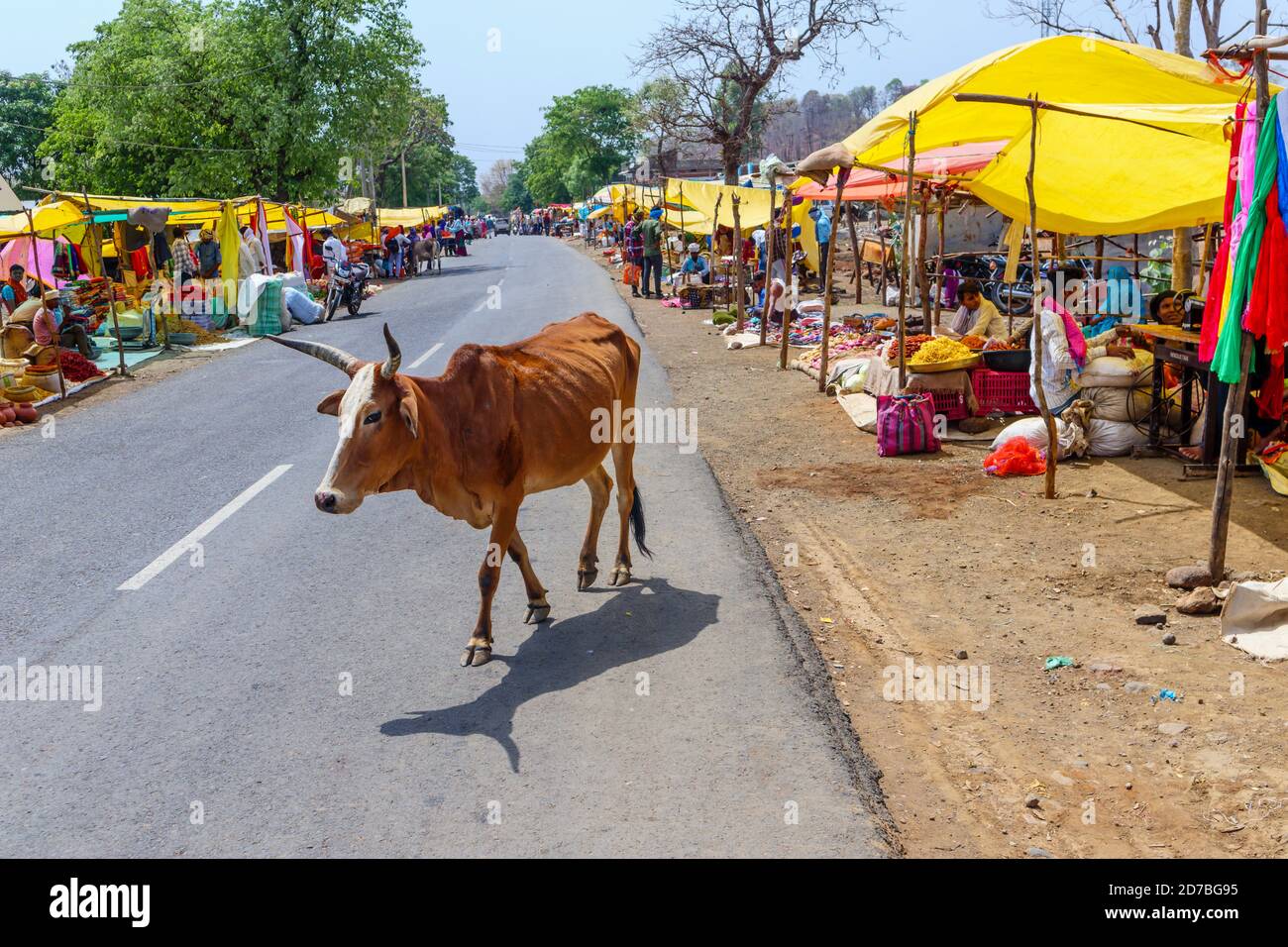 Typische Straßenszene: Kuh, die auf der Straße durch Stände geht, die lokale Lebensmittel verkaufen, auf einem belebten Straßenmarkt in einem Dorf in Madhya Pradesh, Indien Stockfoto