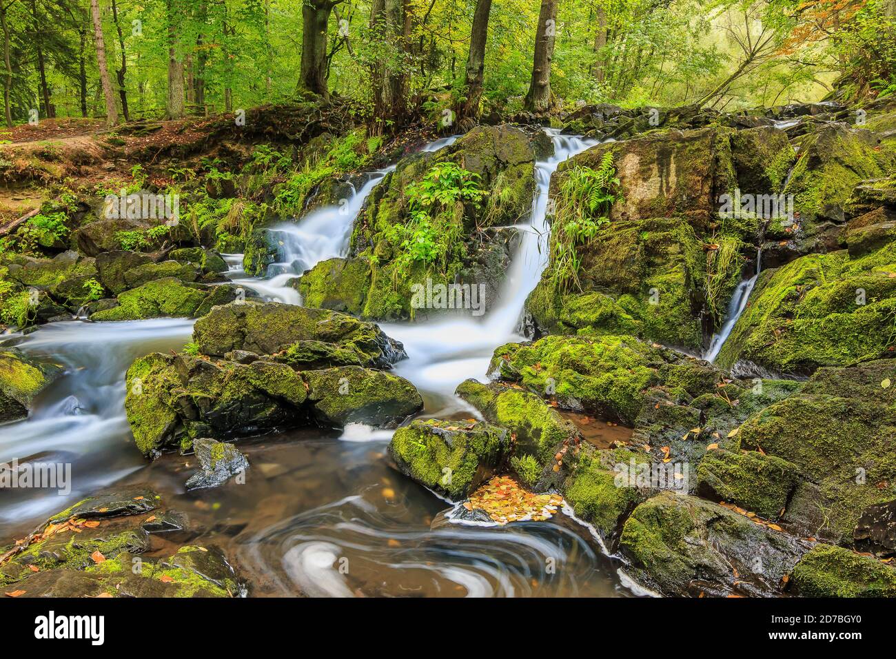 Selke Wasserfall im südlichen Harz. Selke Fluss mit moosbedeckten Felsen. Laubbäume am Flussufer und gelbe Blätter auf der Oberfläche des W Stockfoto