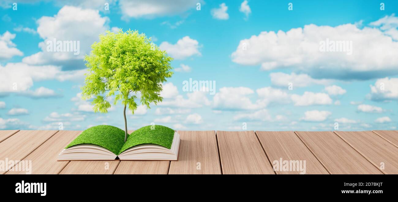 Baum wächst aus offenem Buch auf Holztisch, Wissenskonzept 3d Rendern 3d-Illustration Stockfoto