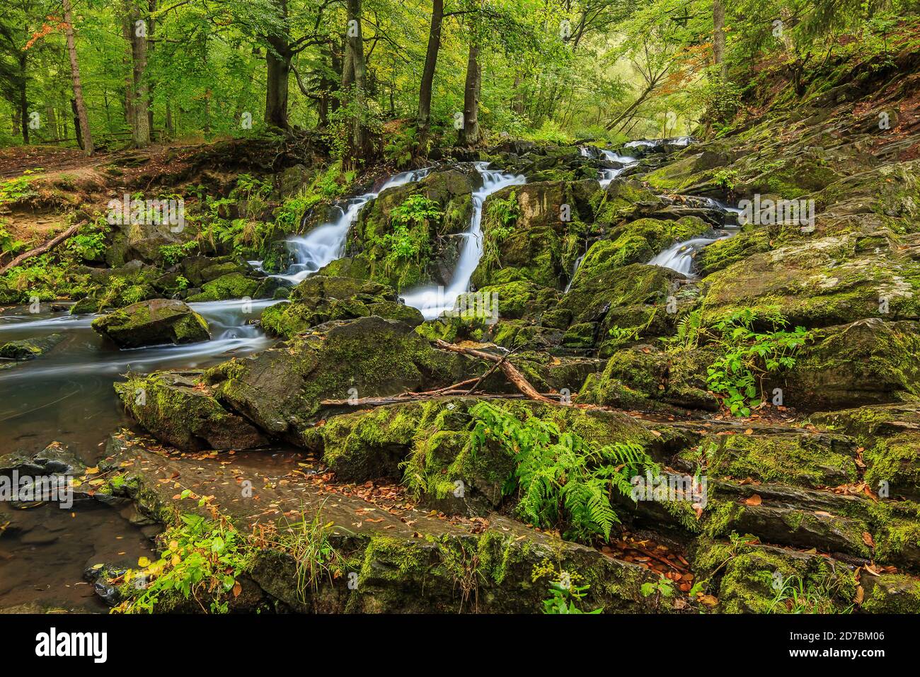 Mehrere Felsen mit Wasserfall im Südharz. Der Lauf des Flusses vom Selke Wasserfall mit moosbedeckten Steinen. Laubbäume und fe Stockfoto