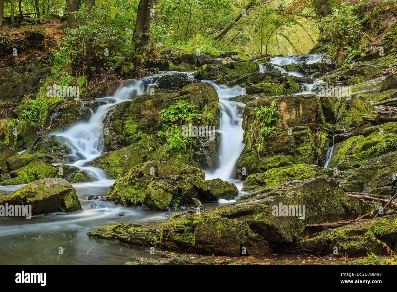 Selke Wasserfall mit Felsen im Südharz. Fluss im Harz mit moosbedeckten Steinen. Laubbäume und Farne am Flussufer mit saisonalen Stockfoto