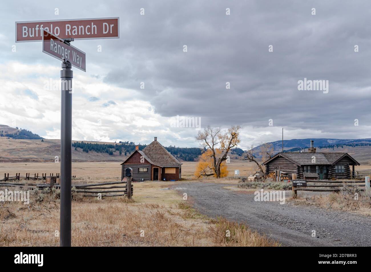 Lamar Buffalo Ranch ist eine historische Ranch geschaffen, um zu erhalten Kostenloser Roaming American Bison Stockfoto