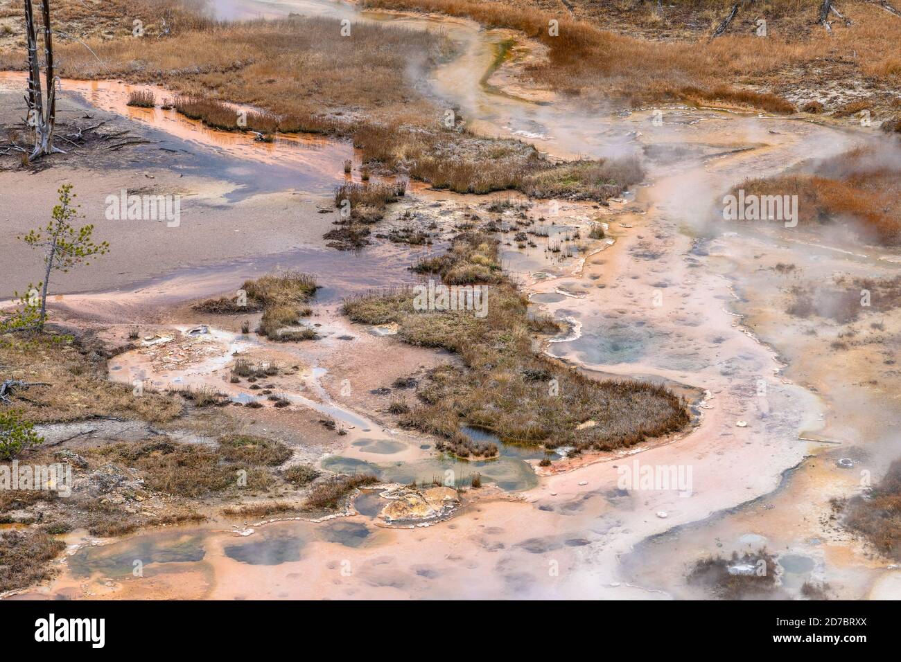 Bunte geothermische heiße Quellen, Geysire und Schlammtöpfe namens Artists Paintpots im Yellowstone National Park, Wyoming Stockfoto