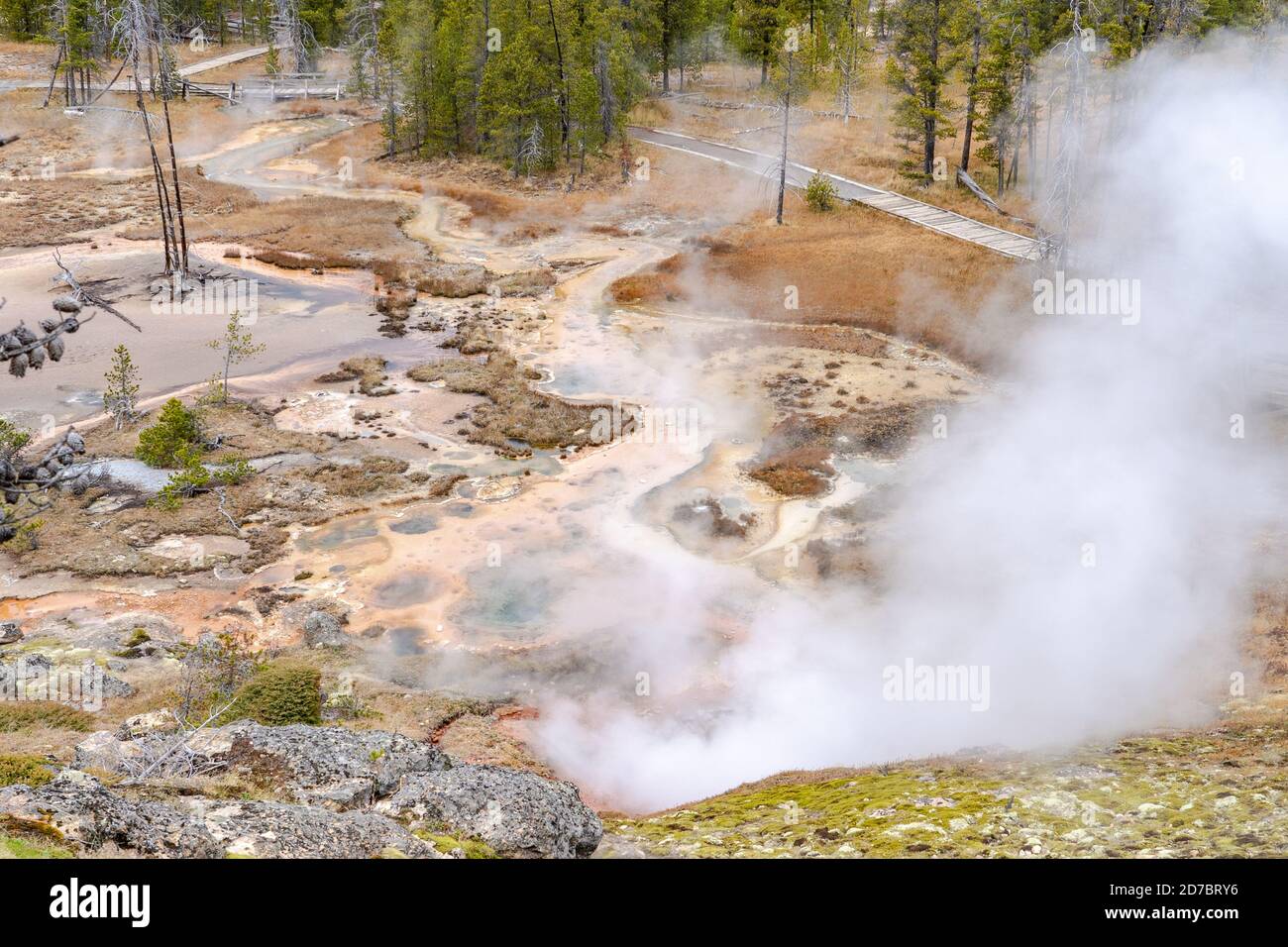Bunte geothermische heiße Quellen, Geysire und Schlammtöpfe namens Artists Paintpots im Yellowstone National Park, Wyoming Stockfoto