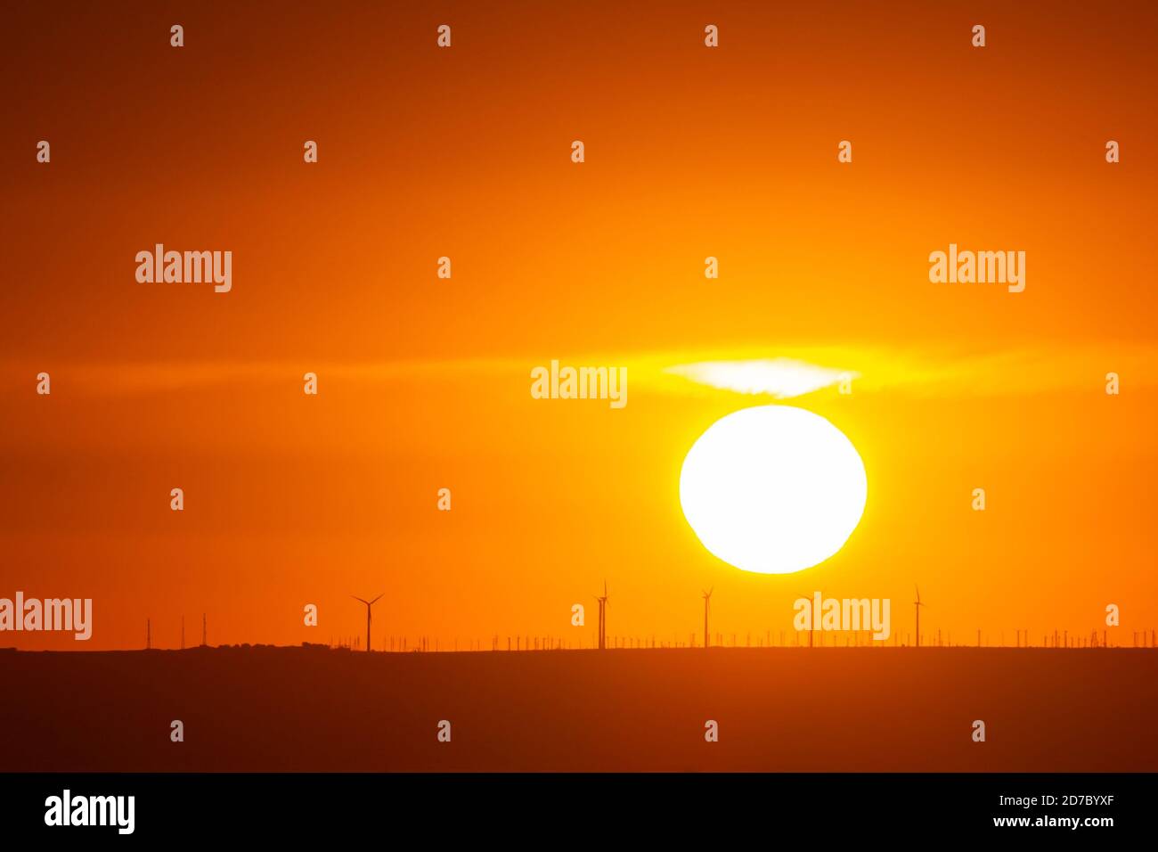 Orangefarbener Sonnenuntergang, die Sonne untergeht über dem Horizont Stockfoto