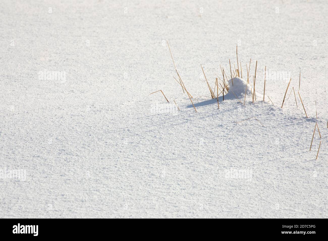 Einfache minimalistische Schneelandschaft der Lofoten-Inseln, Norwegen Stockfoto