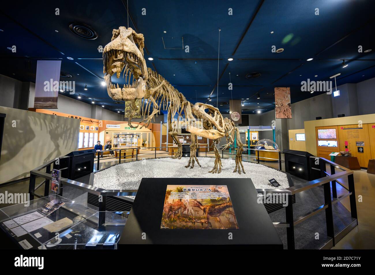 Nagoya / Japan - Nov 27 2019 : Dinosaurierskelett im Wissenschaftsausstellungsraum in Nagoya City Science Museum Dies ist ein beliebtes Touristenziel. Stockfoto