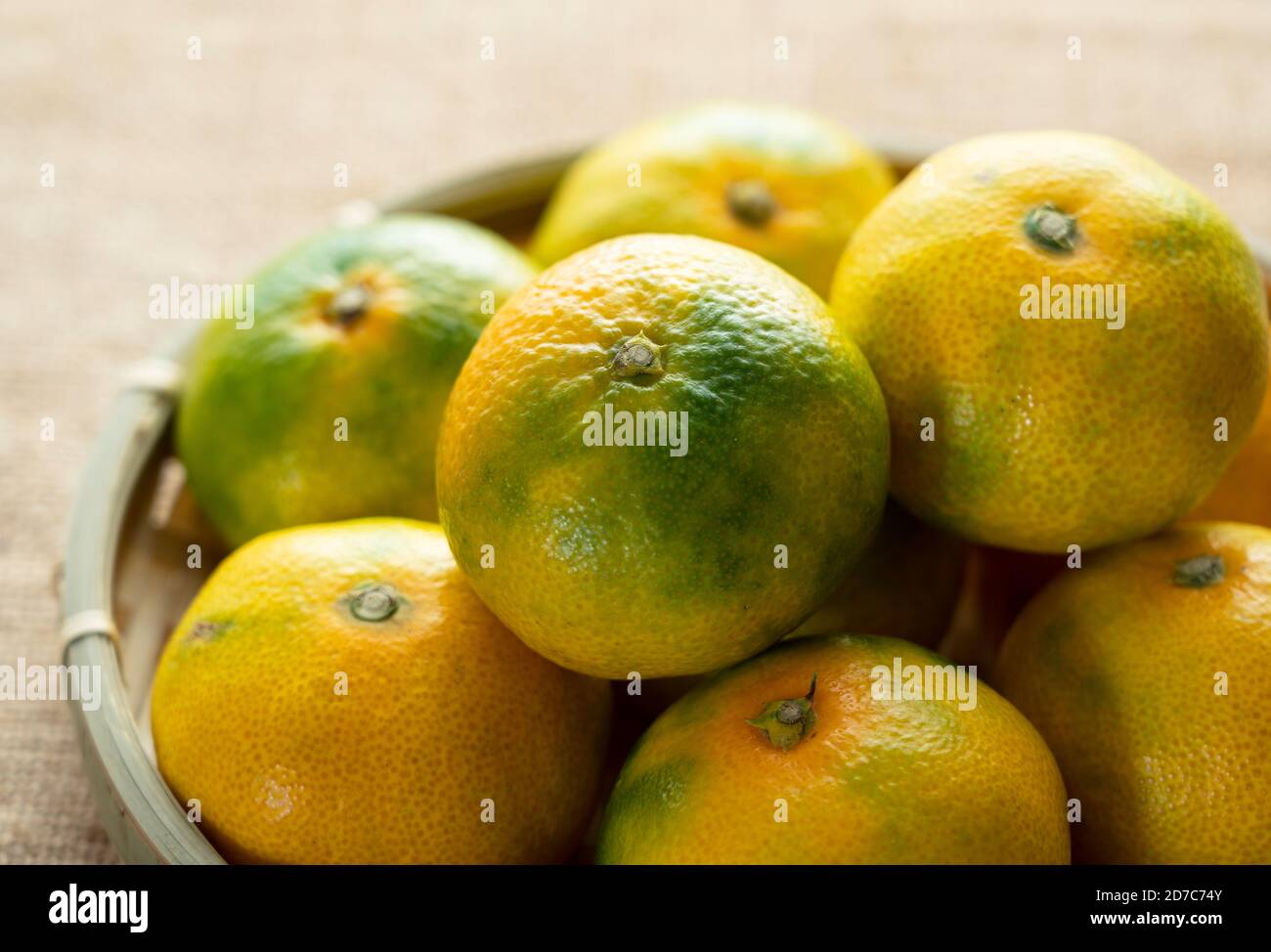 Japanischer Wase Mikan platziert im Hintergrund von burlap Stockfoto