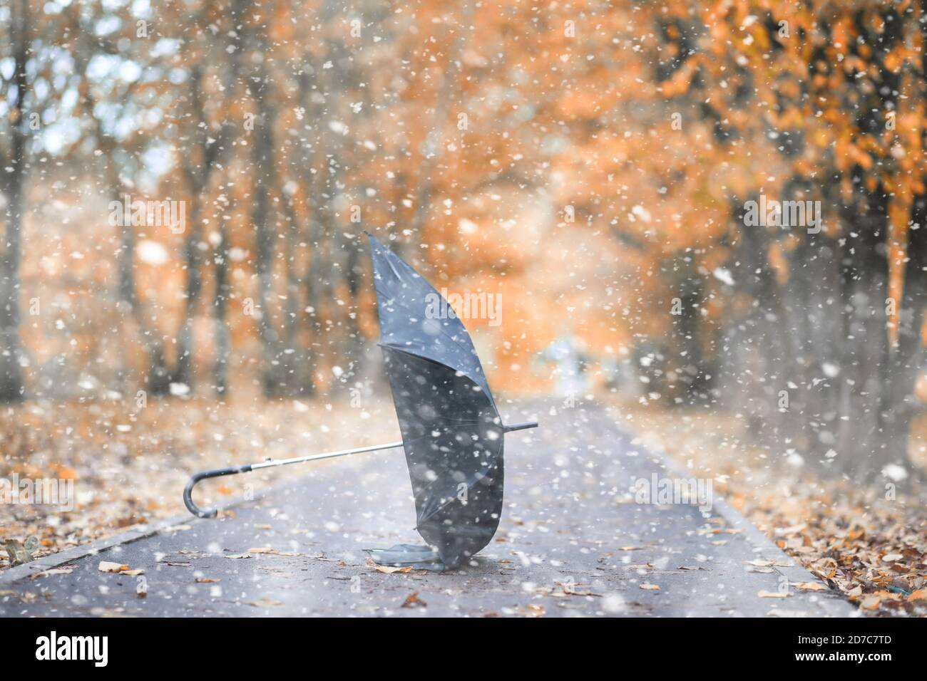 Herbst Park in den ersten Schnee Stockfoto