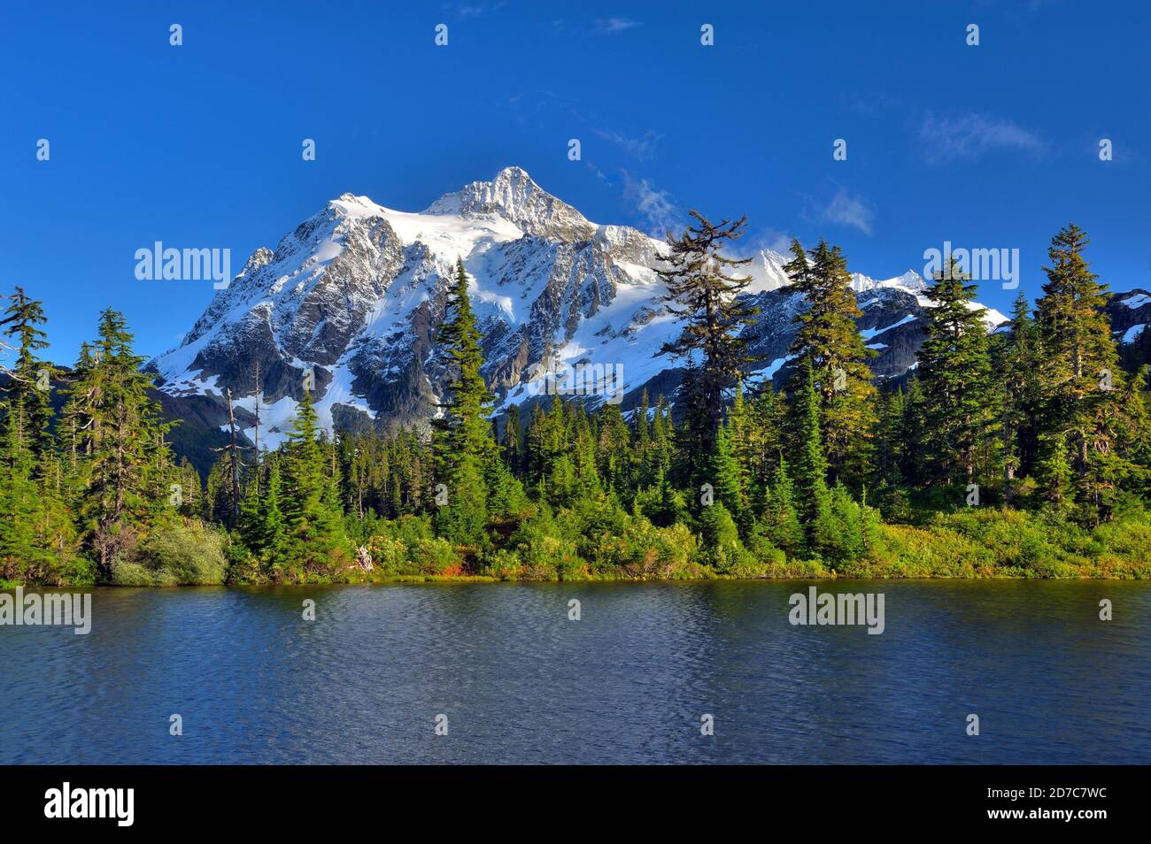 Mt Shuksan im Herbst, Washington-USA Stockfoto