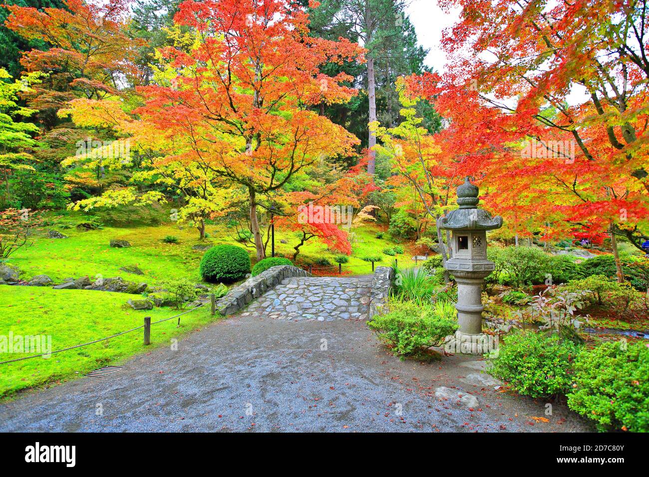 Japanischer Garten im Herbst Stockfoto