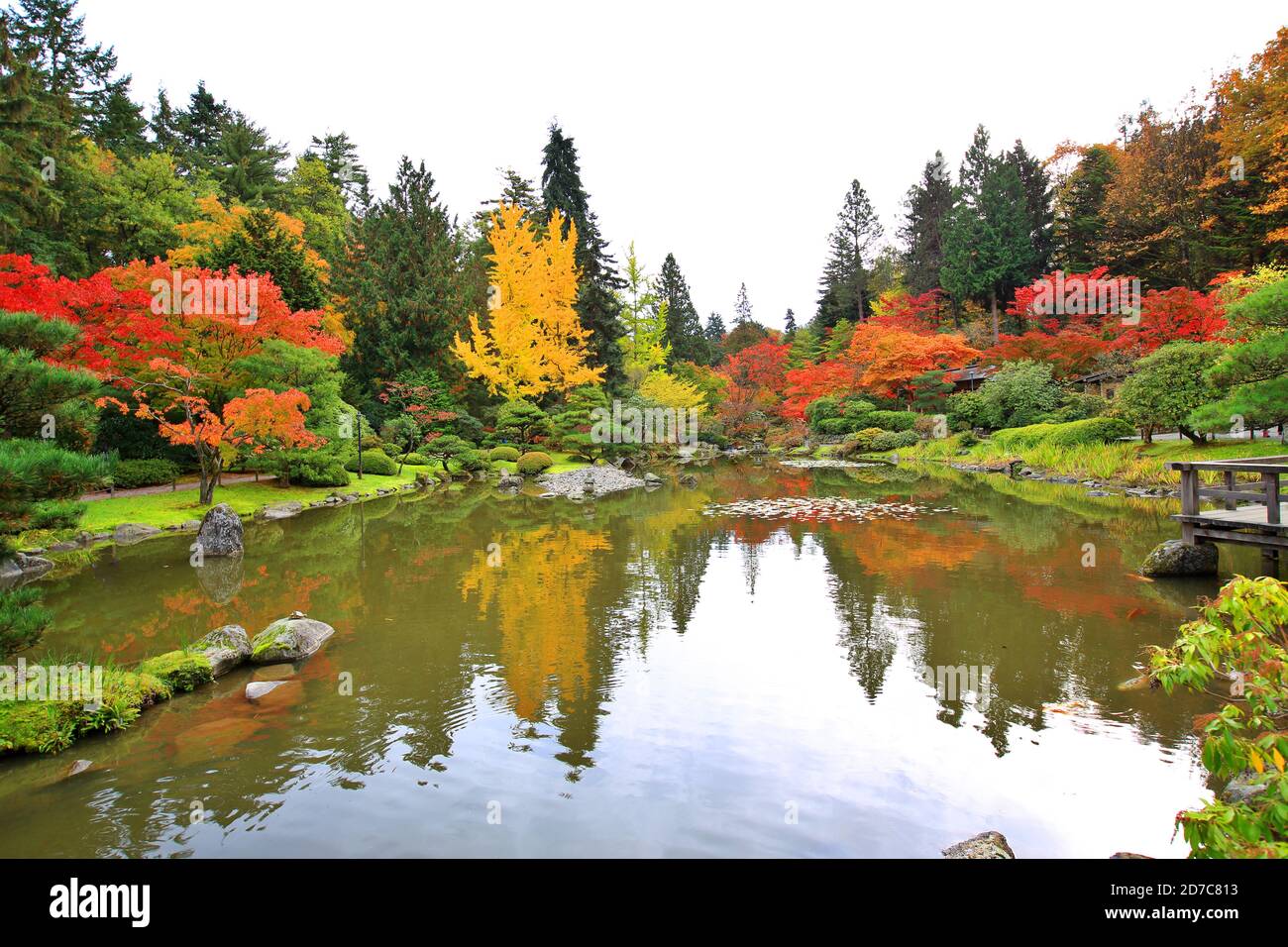 Japanischer Garten im Herbst Stockfoto