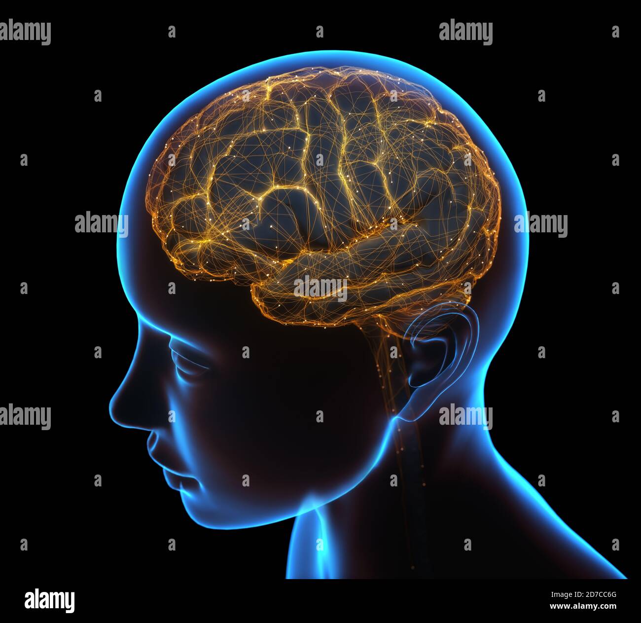 Röntgen des Kopfes und des menschlichen Gehirns im Konzept von neuronalen Verbindungen und elektrischen Impulsen. Stockfoto