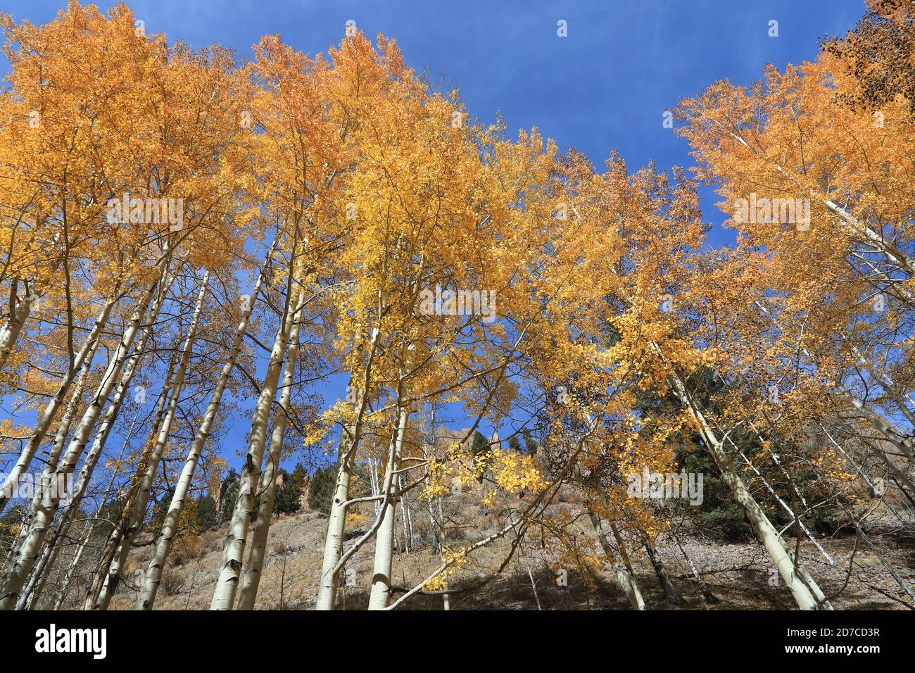 Desktop-Hintergründe aus Colorado Stockfoto