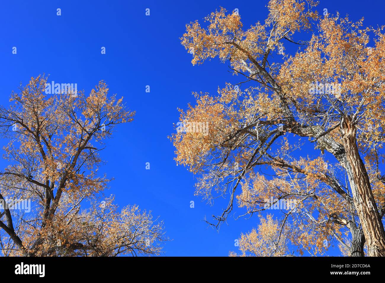 Desktop-Hintergründe aus Colorado Stockfoto