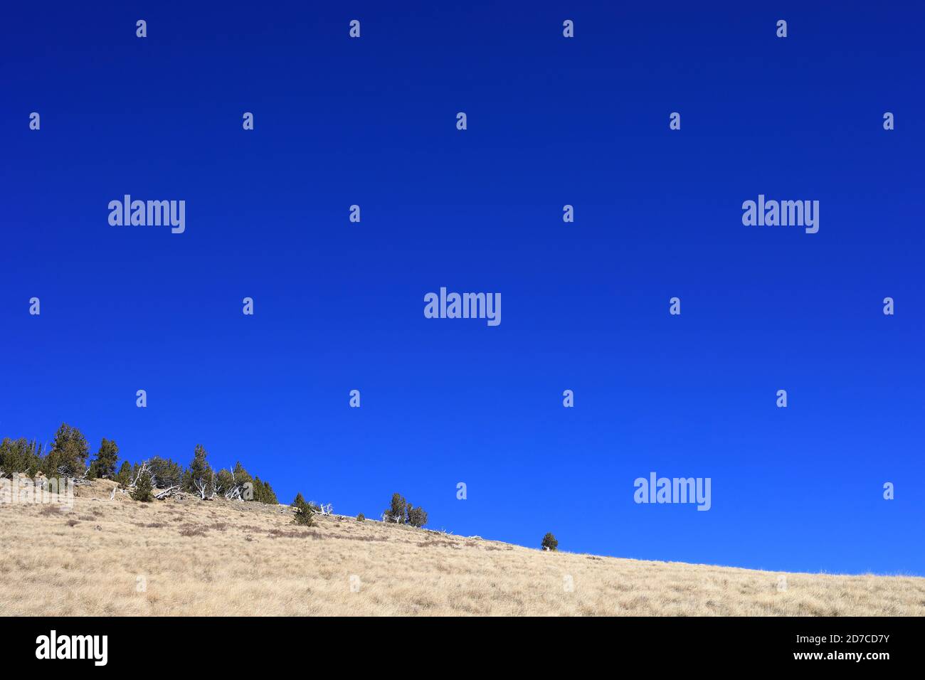 Desktop-Hintergründe aus Colorado Stockfoto
