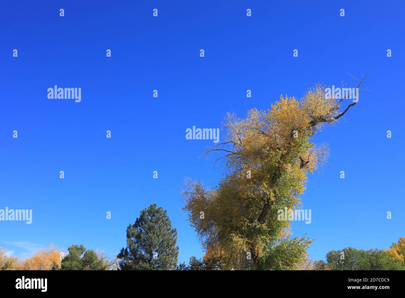 Desktop-Hintergründe aus Colorado Stockfoto