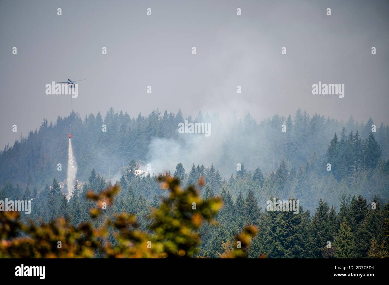 Helikopter, der Wasser auf einem Waldfeuer im Staat Washington ablässt Stockfoto