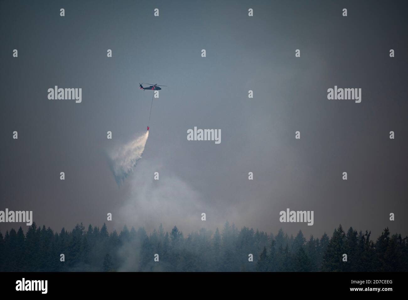 Helikopter, der Wasser auf einem Waldfeuer im Staat Washington ablässt Stockfoto